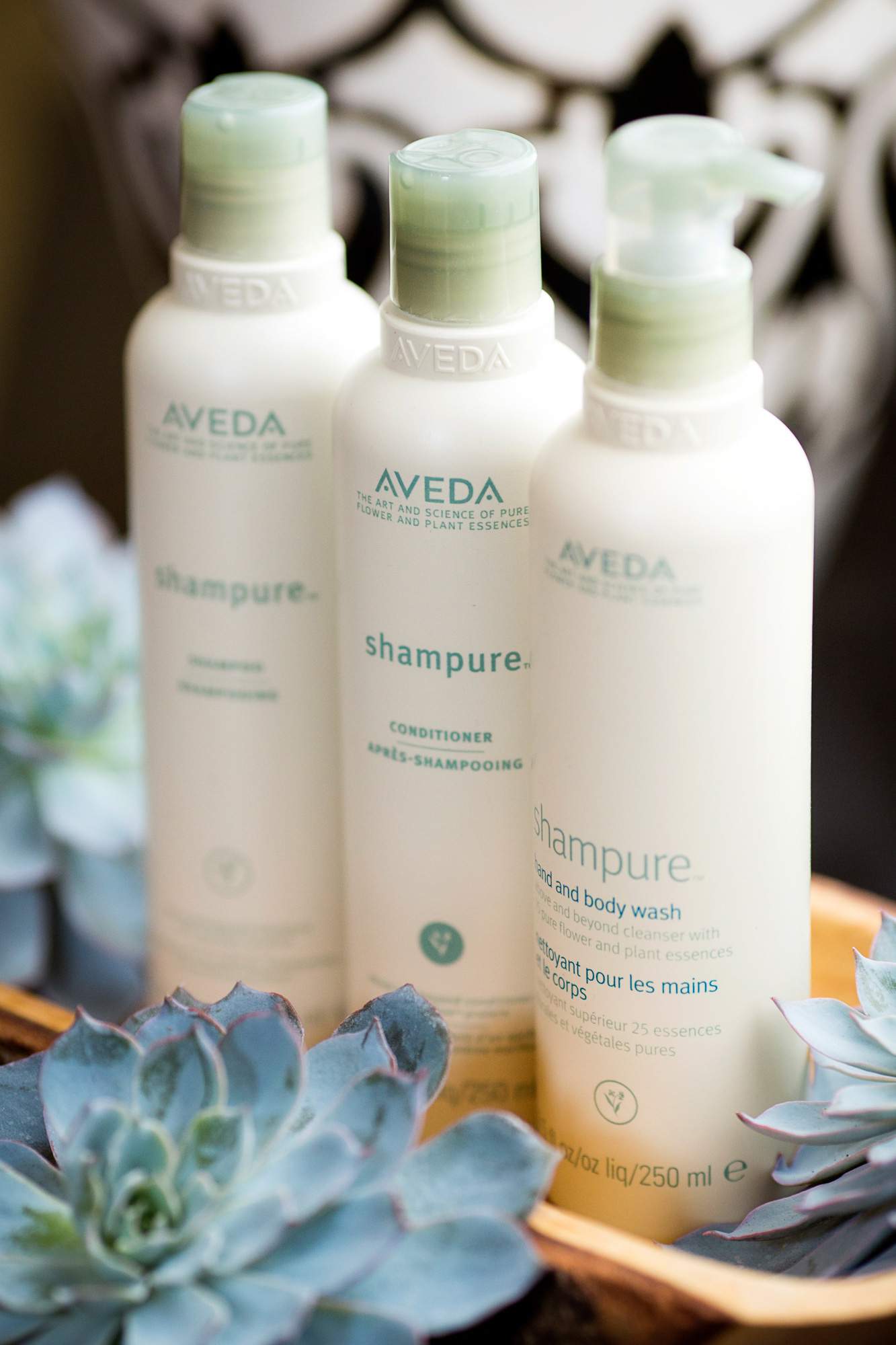 Aveda Shampure avaliable - Rapunzels Salon and Spa - Canmore