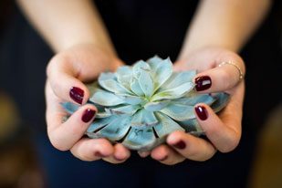 Canmore Manicures at Rapunzels Salon & Spa